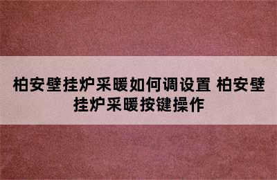 柏安壁挂炉采暖如何调设置 柏安壁挂炉采暖按键操作